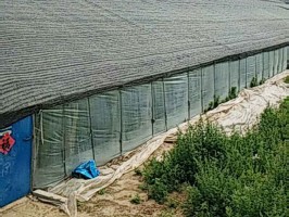 新疆大棚专用遮阳网